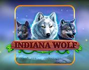 Indiana Wolf